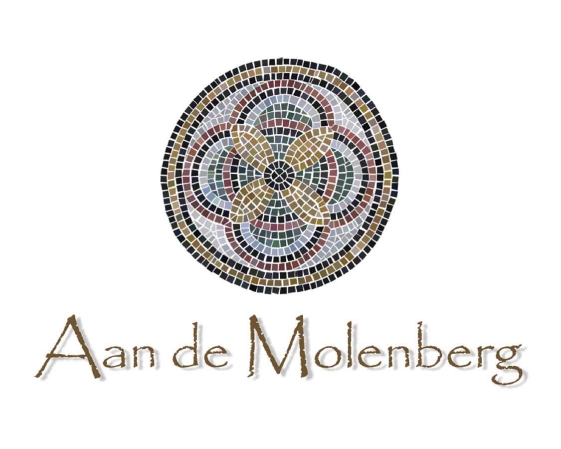 Aan De Molenberg Bed & Breakfast Broekhuizen  Exterior photo